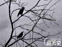 义乌市歆馑电子商务商行