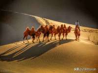 义乌市歆馑电子商务商行