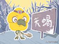 义乌市歆馑电子商务商行
