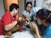 义乌市歆馑电子商务商行