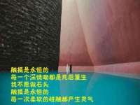 义乌市歆馑电子商务商行