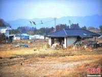 义乌市歆馑电子商务商行