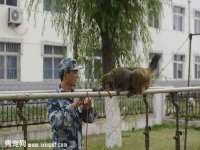 义乌市歆馑电子商务商行