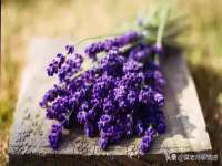 义乌市歆馑电子商务商行