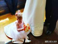 义乌市歆馑电子商务商行