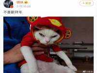 义乌市歆馑电子商务商行