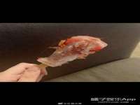 义乌市歆馑电子商务商行